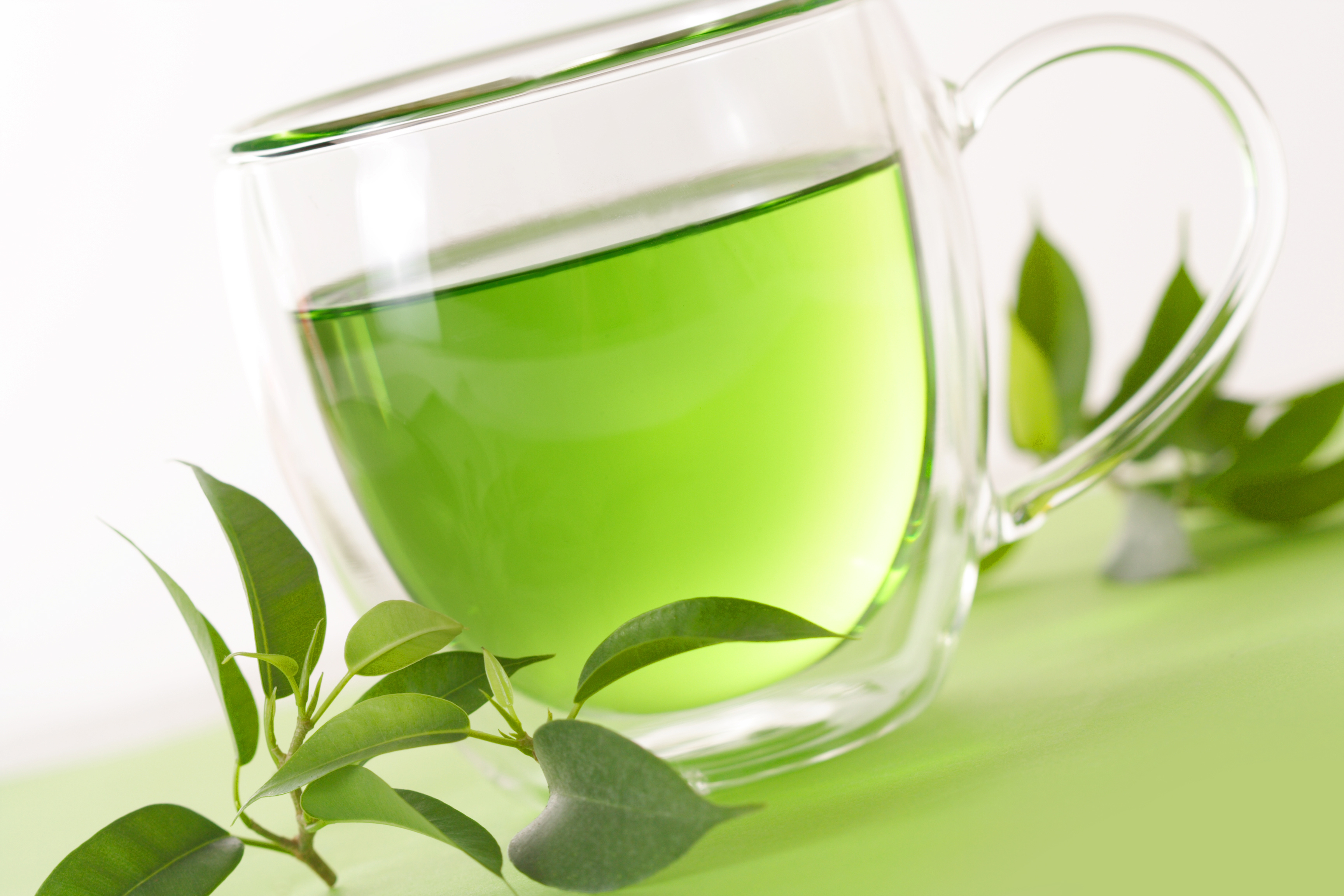 فوائد کا خزانہ سبز چائے 